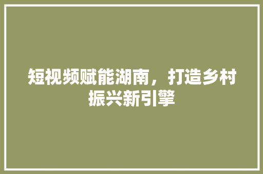 短视频赋能湖南，打造乡村振兴新引擎 建站教程