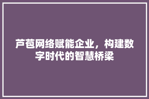 芦苞网络赋能企业，构建数字时代的智慧桥梁 服务器/数据库