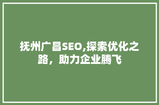抚州广昌SEO,探索优化之路，助力企业腾飞