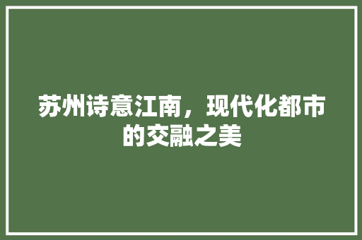 苏州诗意江南，现代化都市的交融之美 WordPress教程
