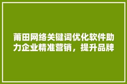 莆田网络关键词优化软件助力企业精准营销，提升品牌影响力