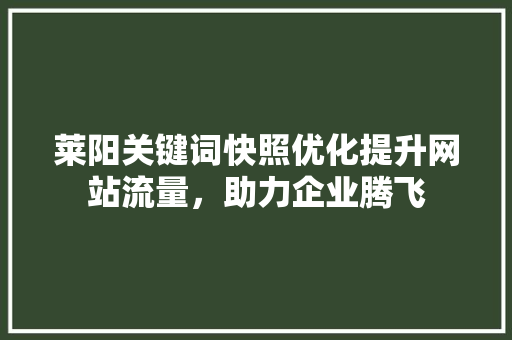 莱阳关键词快照优化提升网站流量，助力企业腾飞