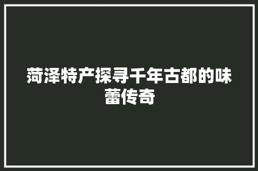 菏泽特产探寻千年古都的味蕾传奇
