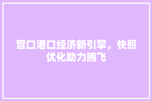 营口港口经济新引擎，快照优化助力腾飞