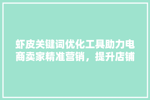 虾皮关键词优化工具助力电商卖家精准营销，提升店铺流量与转化率