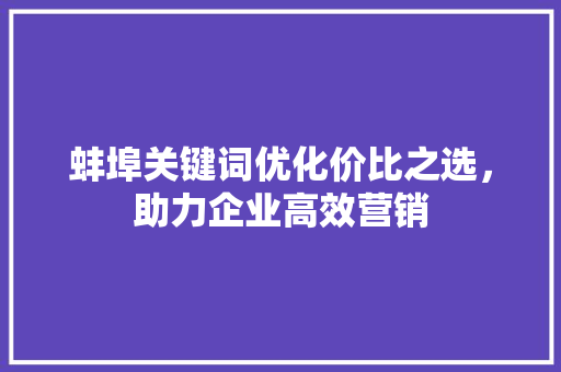 蚌埠关键词优化价比之选，助力企业高效营销 WordPress教程