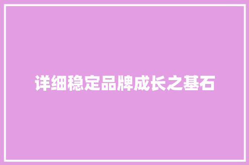详细稳定品牌成长之基石