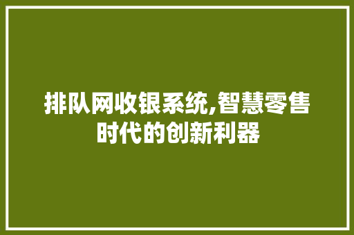 排队网收银系统,智慧零售时代的创新利器