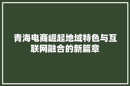 青海电商崛起地域特色与互联网融合的新篇章 Web前端