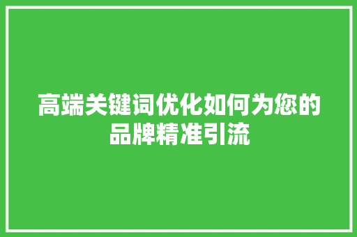 高端关键词优化如何为您的品牌精准引流