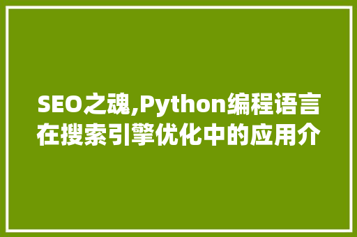 SEO之魂,Python编程语言在搜索引擎优化中的应用介绍