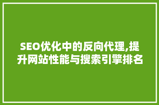 SEO优化中的反向代理,提升网站性能与搜索引擎排名的关键步骤