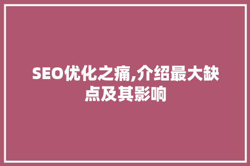 SEO优化之痛,介绍最大缺点及其影响 Web前端