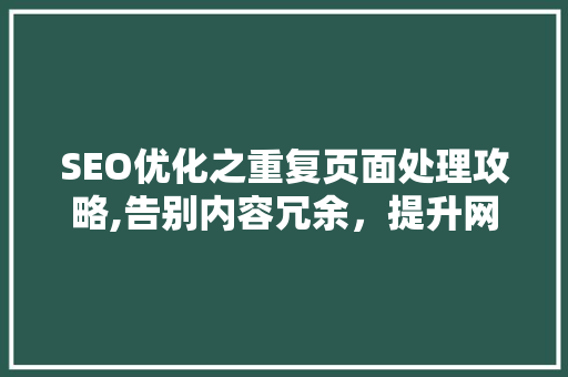 SEO优化之重复页面处理攻略,告别内容冗余，提升网站权重 建站教程