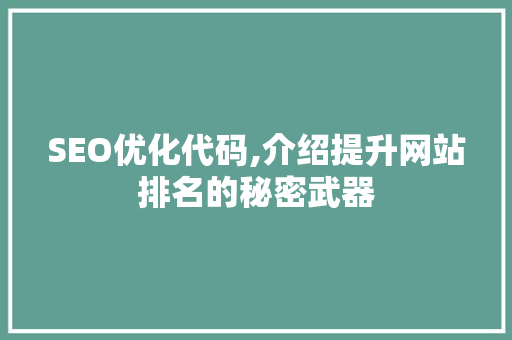 SEO优化代码,介绍提升网站排名的秘密武器 WordPress教程