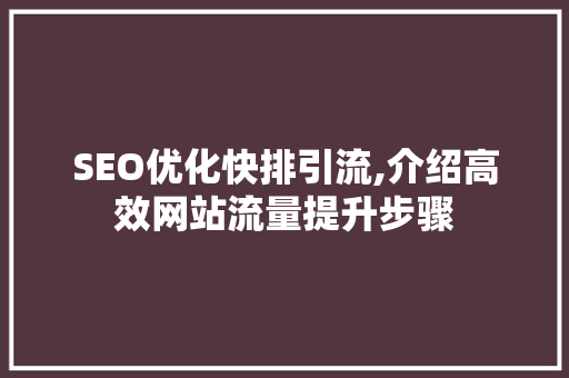 SEO优化快排引流,介绍高效网站流量提升步骤 服务器/数据库