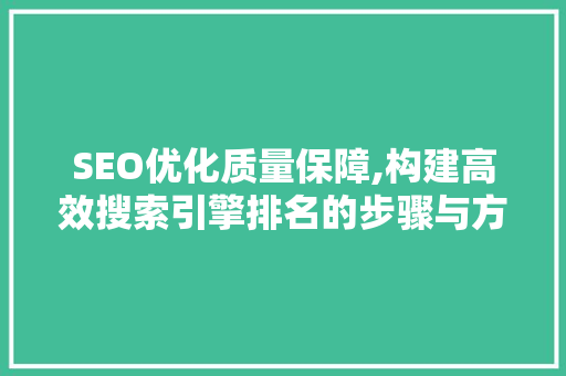 SEO优化质量保障,构建高效搜索引擎排名的步骤与方法