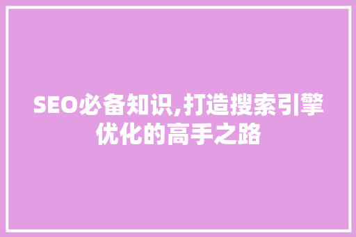 SEO必备知识,打造搜索引擎优化的高手之路 建站教程
