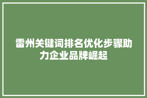 雷州关键词排名优化步骤助力企业品牌崛起