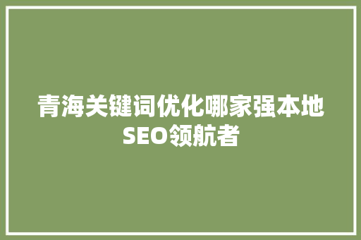 青海关键词优化哪家强本地SEO领航者