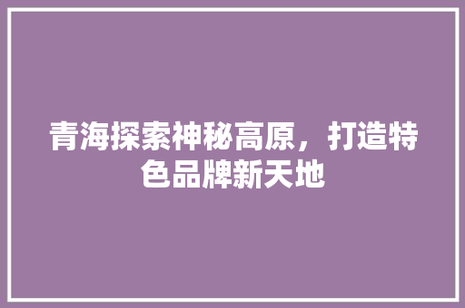 青海探索神秘高原，打造特色品牌新天地 服务器/数据库