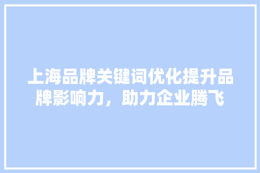 上海品牌关键词优化提升品牌影响力，助力企业腾飞
