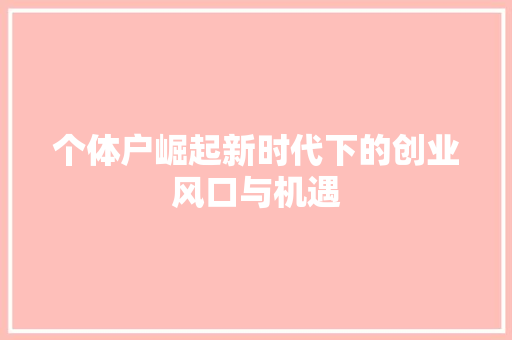 个体户崛起新时代下的创业风口与机遇 友链在线