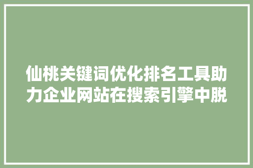 仙桃关键词优化排名工具助力企业网站在搜索引擎中脱颖而出