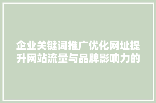 企业关键词推广优化网址提升网站流量与品牌影响力的步骤