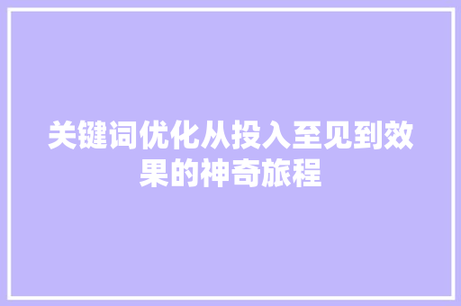 关键词优化从投入至见到效果的神奇旅程