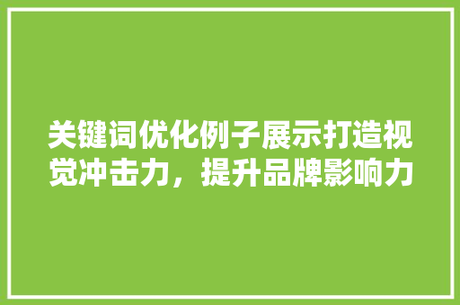 关键词优化例子展示打造视觉冲击力，提升品牌影响力