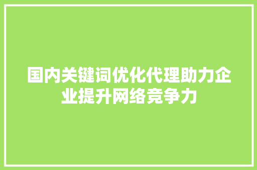 国内关键词优化代理助力企业提升网络竞争力