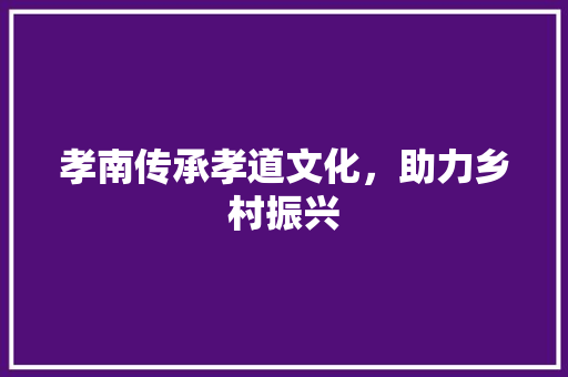 孝南传承孝道文化，助力乡村振兴 友链在线