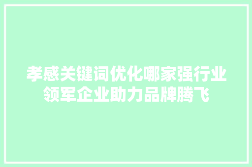 孝感关键词优化哪家强行业领军企业助力品牌腾飞 Web前端