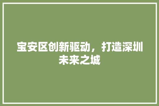 宝安区创新驱动，打造深圳未来之城