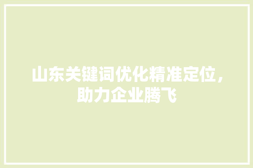 山东关键词优化精准定位，助力企业腾飞