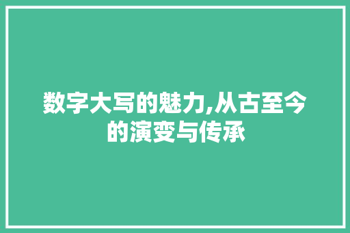 数字大写的魅力,从古至今的演变与传承