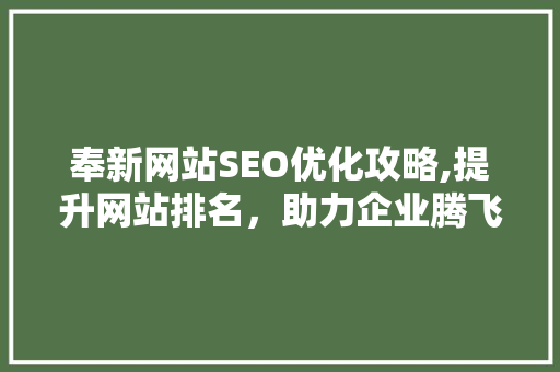 奉新网站SEO优化攻略,提升网站排名，助力企业腾飞