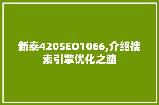 新泰420SEO1066,介绍搜索引擎优化之路 服务器/数据库