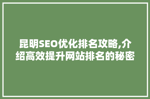 昆明SEO优化排名攻略,介绍高效提升网站排名的秘密武器 SEO教程