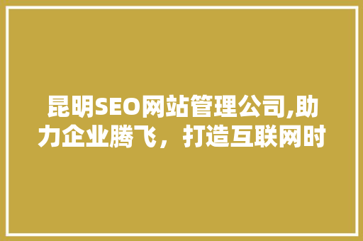 昆明SEO网站管理公司,助力企业腾飞，打造互联网时代核心竞争力