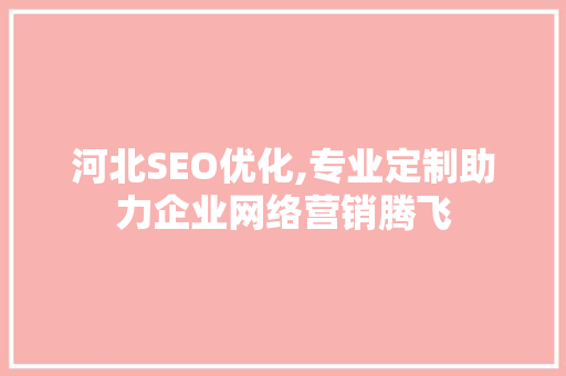 河北SEO优化,专业定制助力企业网络营销腾飞 SEO教程