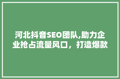 河北抖音SEO团队,助力企业抢占流量风口，打造爆款内容