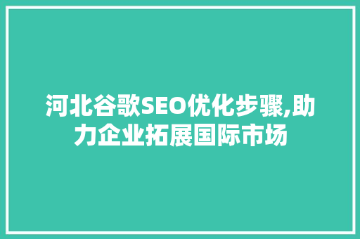 河北谷歌SEO优化步骤,助力企业拓展国际市场
