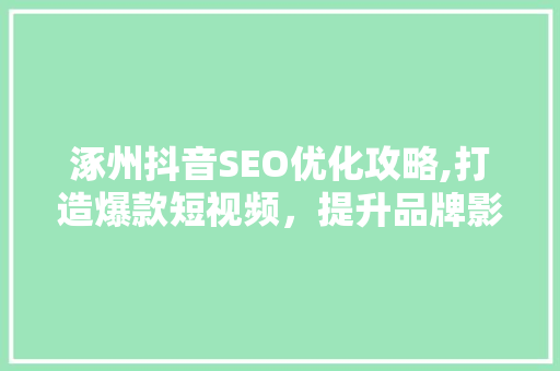 涿州抖音SEO优化攻略,打造爆款短视频，提升品牌影响力