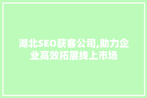 湖北SEO获客公司,助力企业高效拓展线上市场