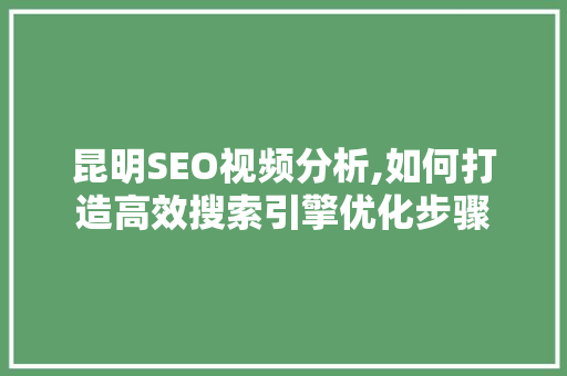 昆明SEO视频分析,如何打造高效搜索引擎优化步骤
