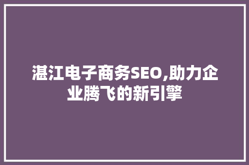 湛江电子商务SEO,助力企业腾飞的新引擎