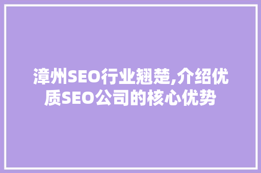 漳州SEO行业翘楚,介绍优质SEO公司的核心优势