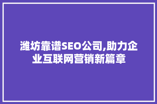 潍坊靠谱SEO公司,助力企业互联网营销新篇章